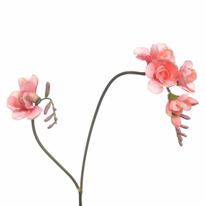 AF Freesia x2 L74cm Pink