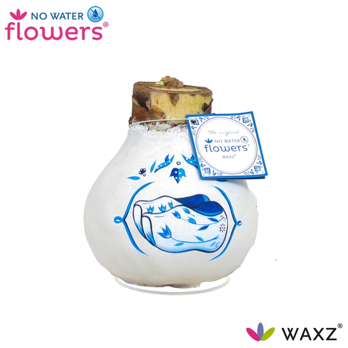<h4>No Water Flowers Waxz® Delfts Blauw Clogs</h4>