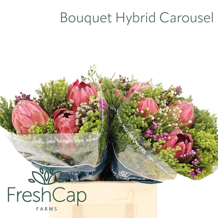 <h4>Bouquet Hybrid Carousel</h4>