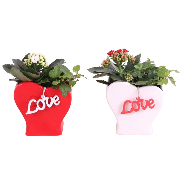 <h4>Valentine Arr. Indoor Ceramic Heartshape vase Red/White Ø13cm2PP</h4>