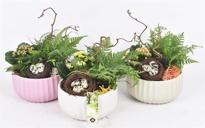 <h4>Keramiek schaal kleur mix 16,5cm</h4>