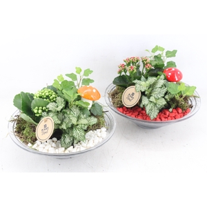 arr2 PL - Glas schaal 23cm - rood/wit