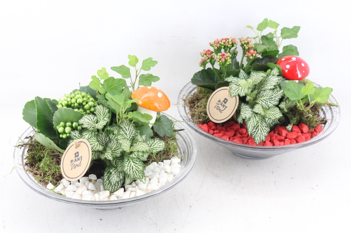 <h4>arr2 PL - Glas schaal 23cm - rood/wit</h4>