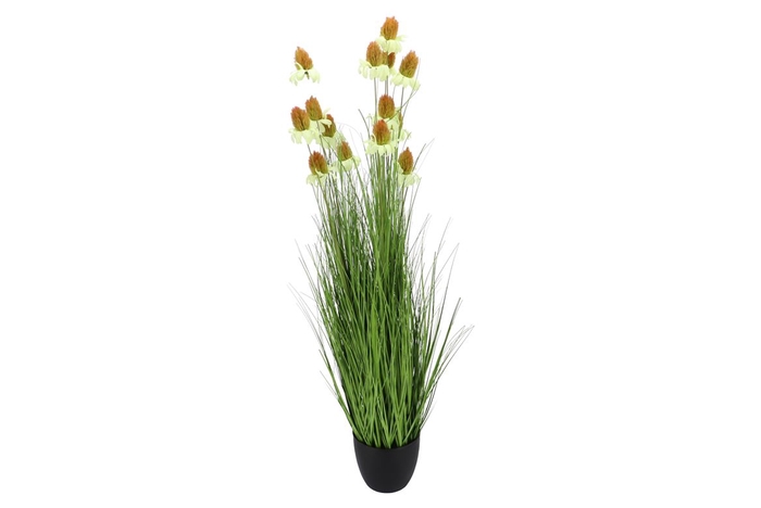 <h4>Silk Cosmos Grass Green 150cm</h4>