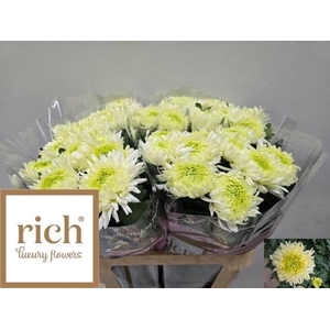 CHR G LOUIS GERM WHI