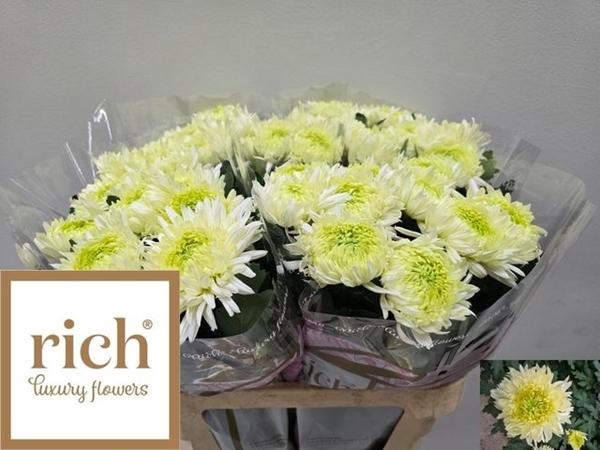 <h4>CHR G LOUIS GERM WHI</h4>