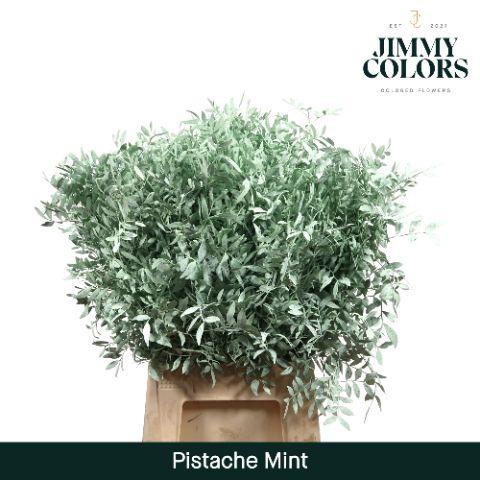 <h4>Pistache L50 Mint</h4>