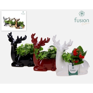 Keramiek rendier Kerst zittend met Arrangement