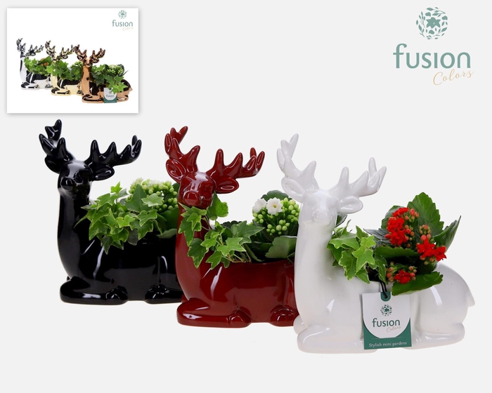 <h4>Keramiek rendier Kerst zittend met Arrangement</h4>