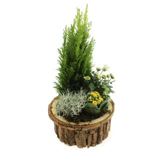 ARR TUINPLANTEN