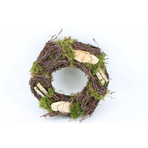 Wr Easter Mos Birch Slice 30cm