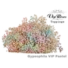 GYPS PA VIP PASTEL MIX