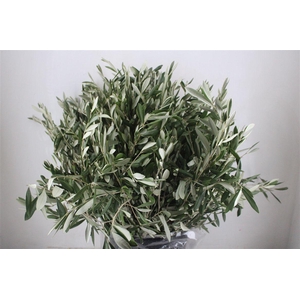 Olive 400gr P/b