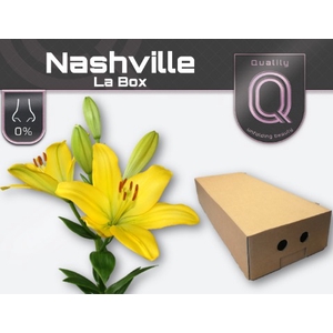 LI LA NASHVILLE LA BOX 5+