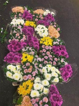 <h4>Chr G Gem In Fust</h4>