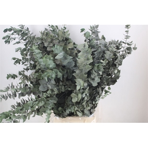 Pres Euca Stuartiana Groen 150gr Bunch