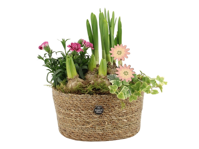 <h4>11681: Outdoor spring arrangement</h4>
