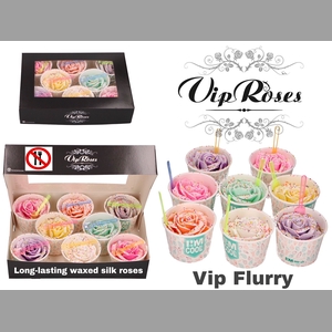 R GR VIP FLURRY