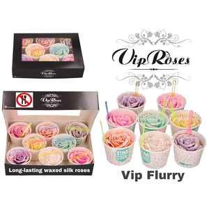 R GR VIP FLURRY