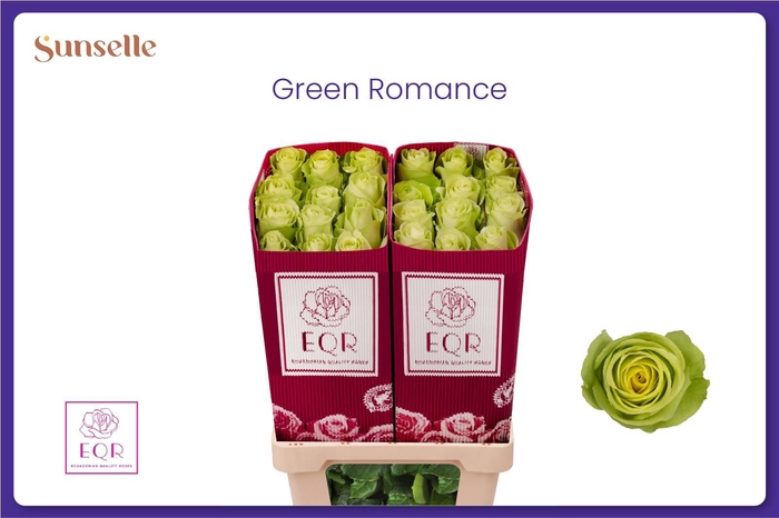 <h4>R GR GREEN ROMANCE</h4>
