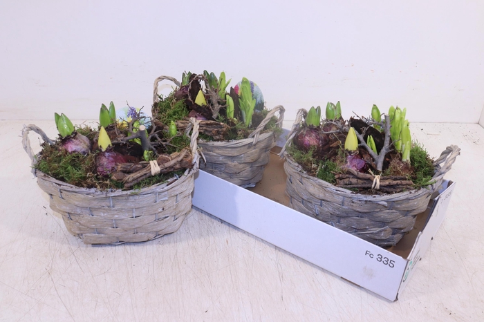 <h4>ARR BOL KNOLGEWAS</h4>