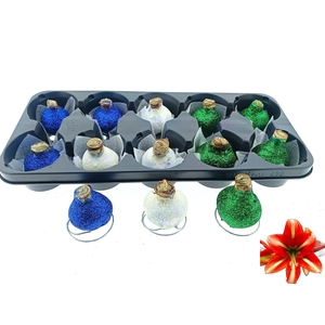 BLOEMBOL HIPPEASTRUM