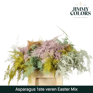 Aspa 1ste veren Easter mix