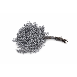 Schinus M Pt Titan Grey Bunch