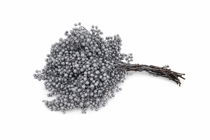 <h4>Schinus M Pt Titan Grey Bunch</h4>