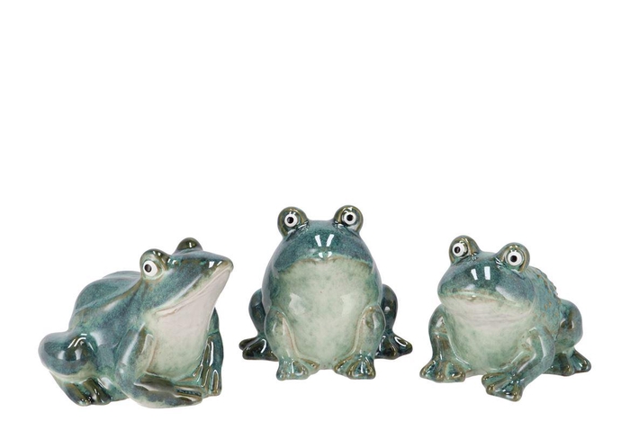<h4>Zoe Green Frog Ass 18x16x18cm</h4>
