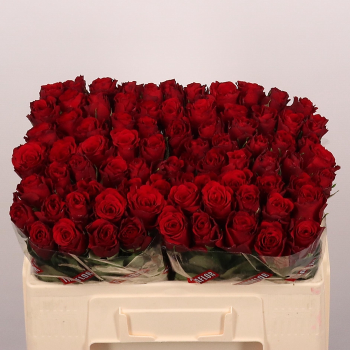 <h4>R GR UPPER CLASS</h4>