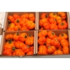 Sier Cucumis Solanum Orange X4