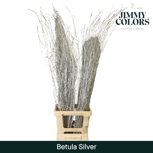 Betula L120 Mtlc. Silver