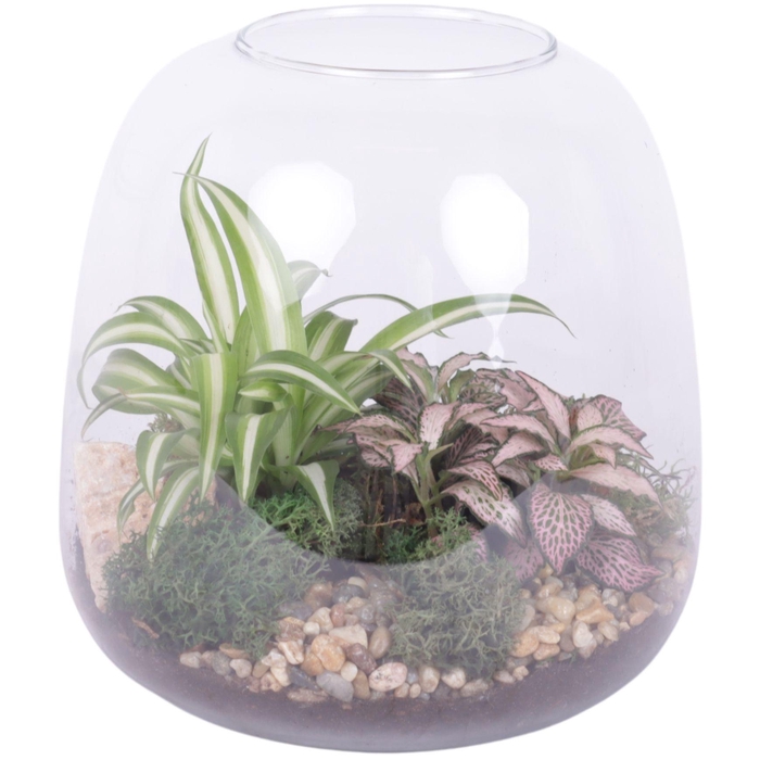 <h4>Yearround Arr. Indoor Glass Vase Terrarium Round Ø19cm 2PP</h4>