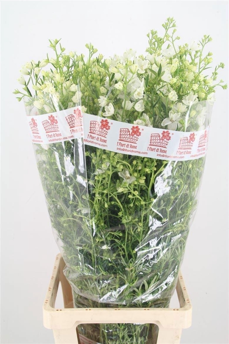 <h4>Delph En M Sil White 90cm</h4>