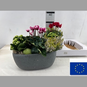 ARR TUINPLANTEN