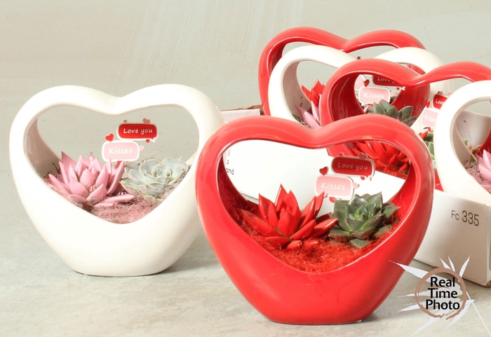 <h4>ARR KAMERPL</h4>