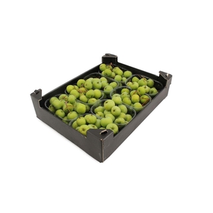 Appels Malus Groen 8x