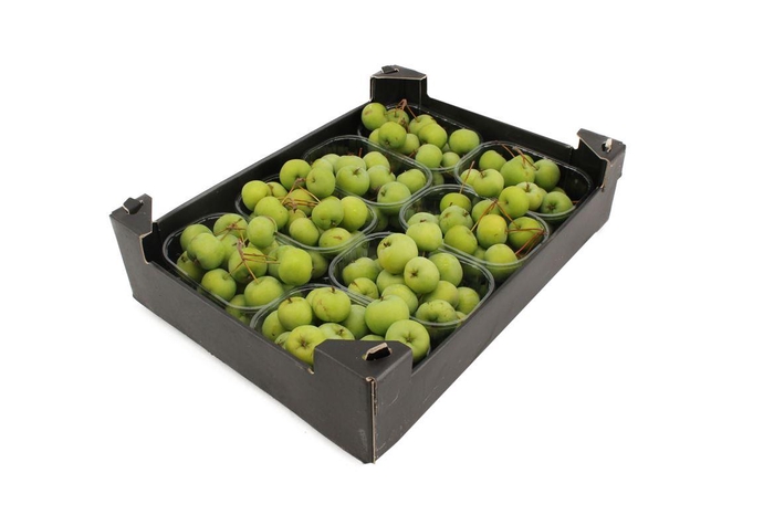 <h4>Appels Malus Groen 8x</h4>