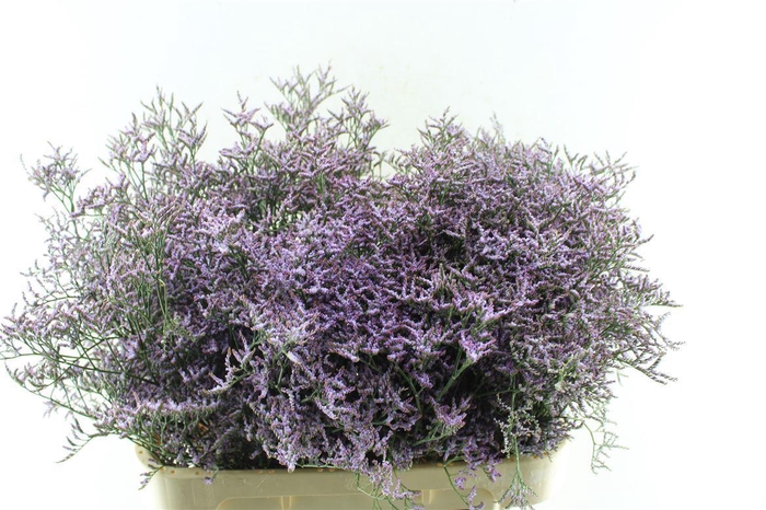 <h4>Lim Saf Lilac 45 Gram</h4>