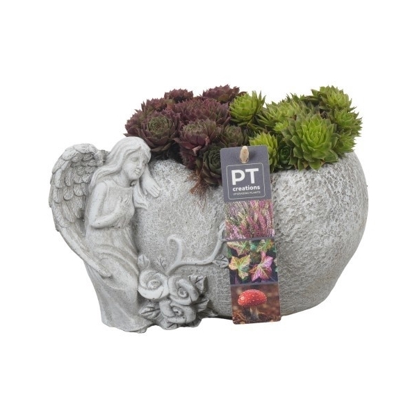 <h4>PTAH8613 Arrangement Allerheiligen in beton hart</h4>