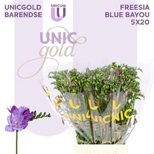 UG Barendse - Blue Bayou 5x20