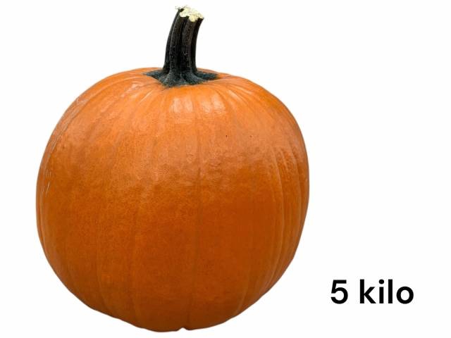 <h4>CUC HALLOWEEN</h4>