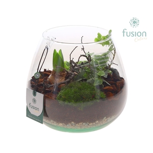 Green Bottle Abby Medium met Hyacint arrangement