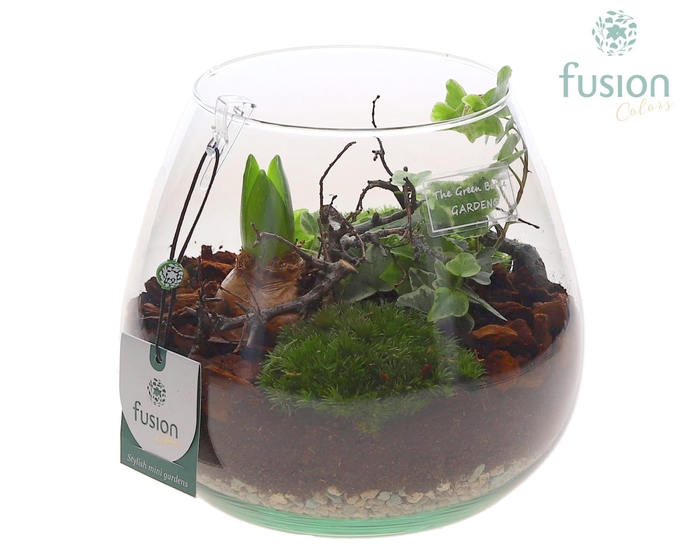 <h4>Green Bottle Abby Medium met Hyacint arrangement</h4>