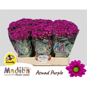 CHR S MAD ASWAD PURP