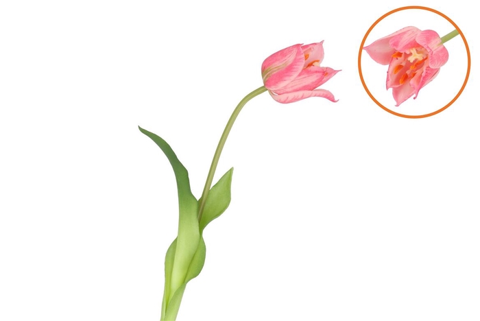 <h4>Silk Tulip Single Light Pink 48cm</h4>