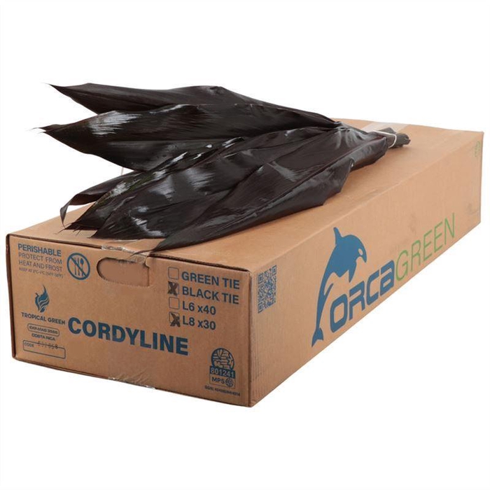 <h4>ŽAL CORD BLACK TIE</h4>