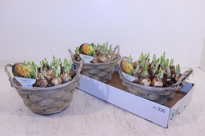 <h4>ARR N TETE A TETE</h4>