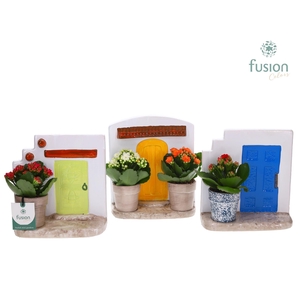 Terracotta Muurplanter met Kalanchoe